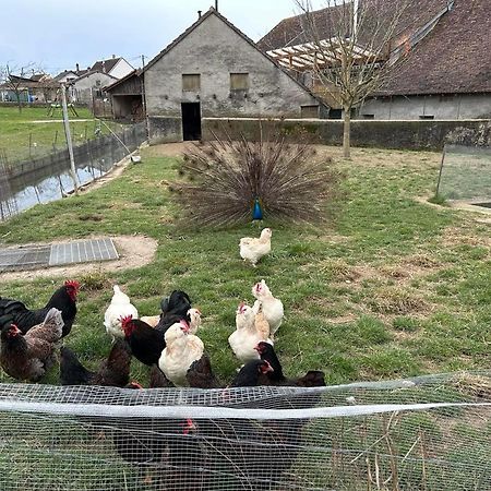 Maison Au Sein D'Une Ferme Villa Rahling Екстериор снимка