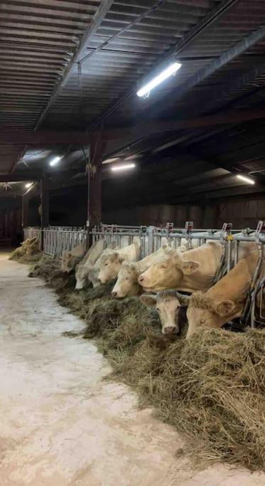 Maison Au Sein D'Une Ferme Villa Rahling Екстериор снимка