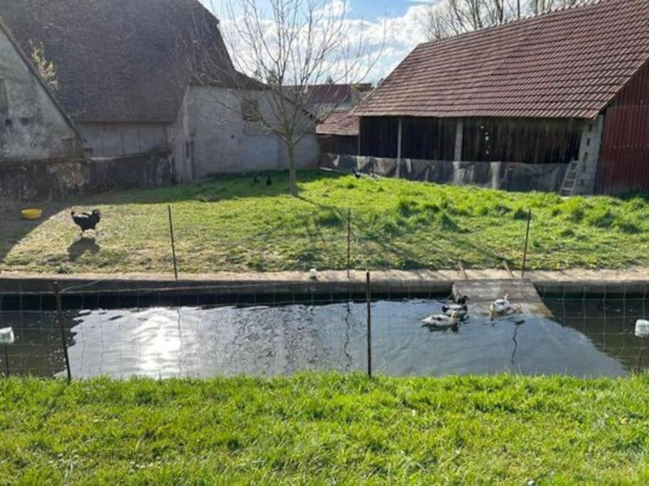 Maison Au Sein D'Une Ferme Villa Rahling Екстериор снимка